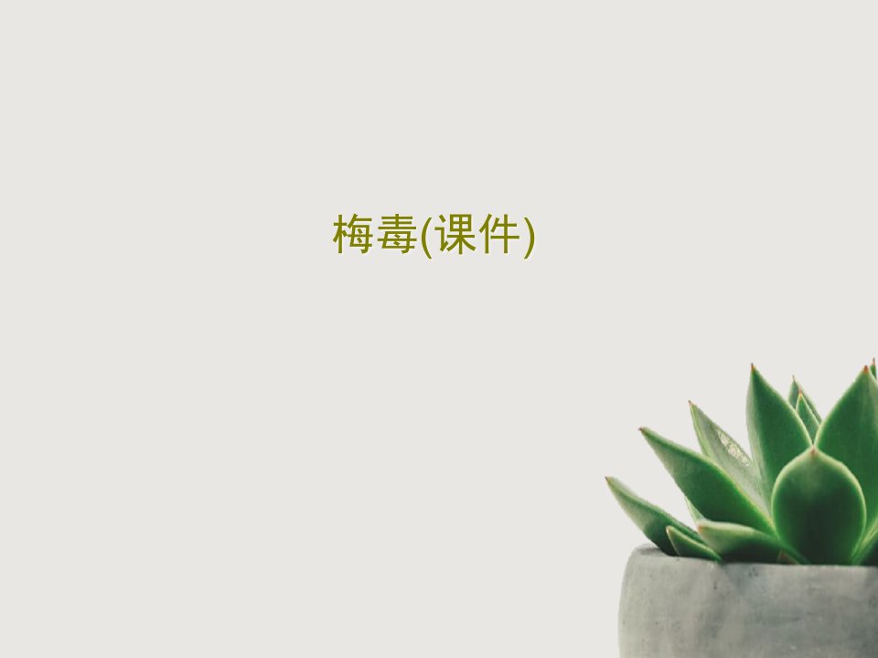 梅毒（ppt课件）