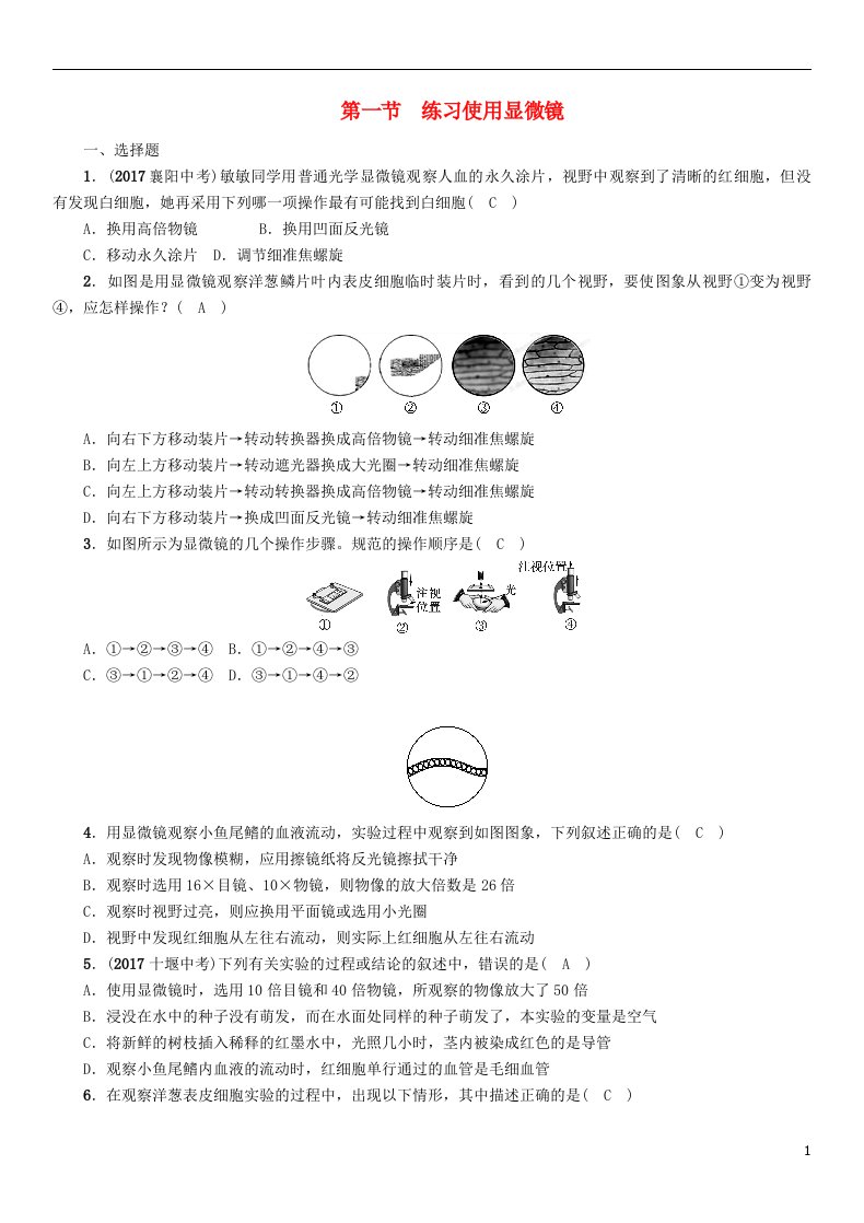 中考生物总复习