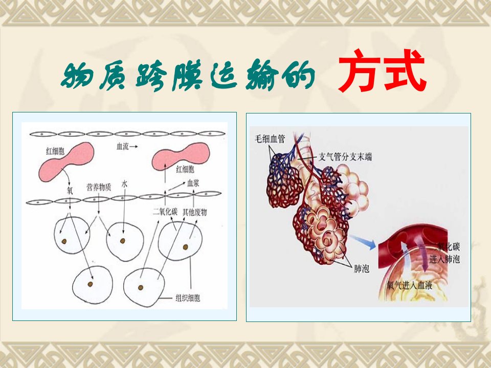 物质跨膜运输的方式