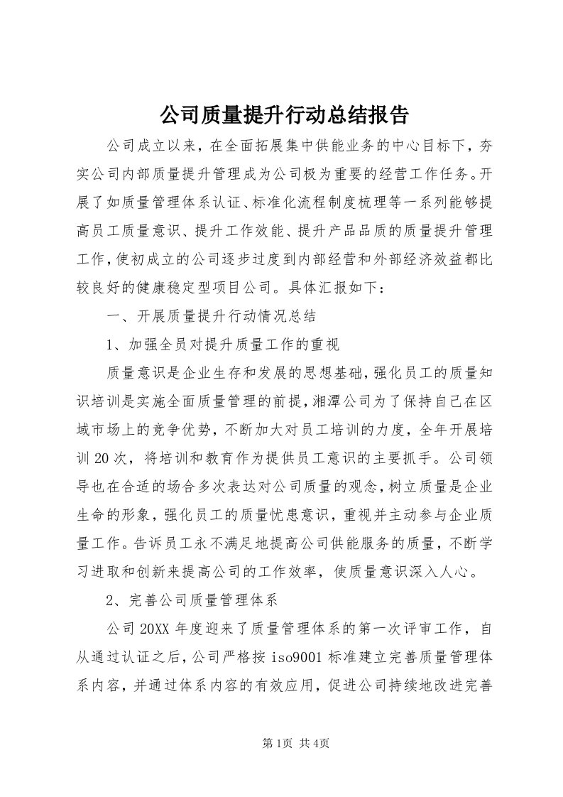 公司质量提升行动总结报告