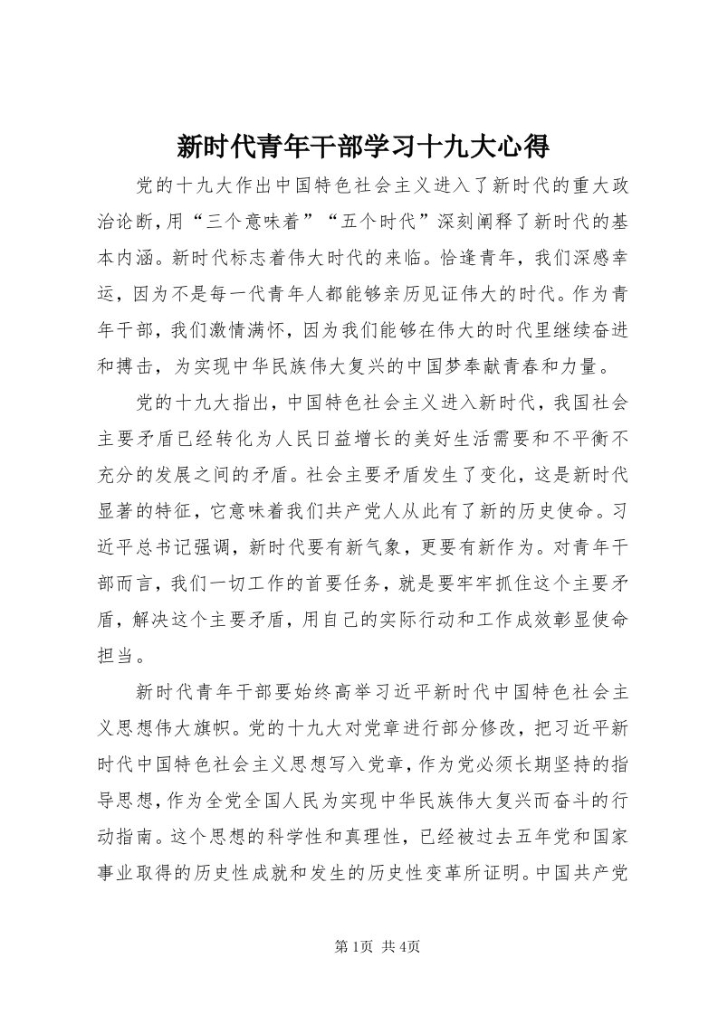 7新时代青年干部学习十九大心得