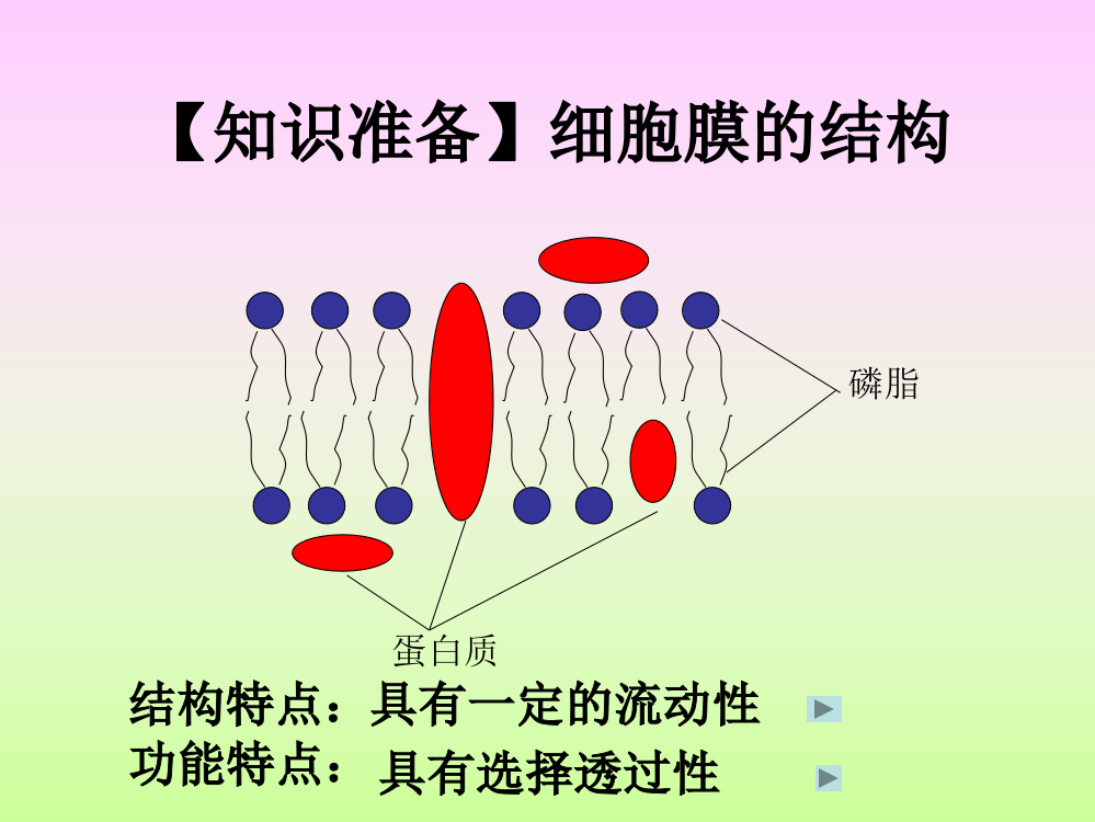 人教版教学课件第四章第三节-物质跨膜运输的方式(共37张PPT)