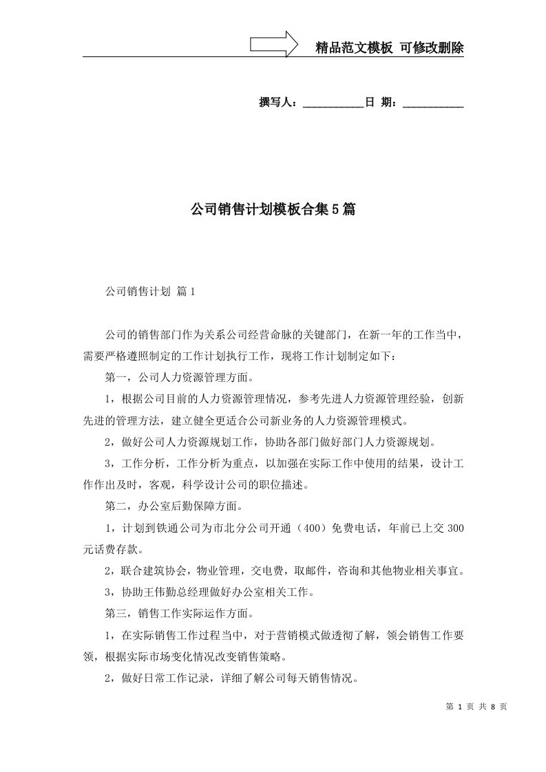 公司销售计划模板合集5篇一