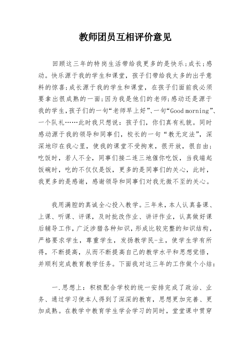 教师团员互相评价意见