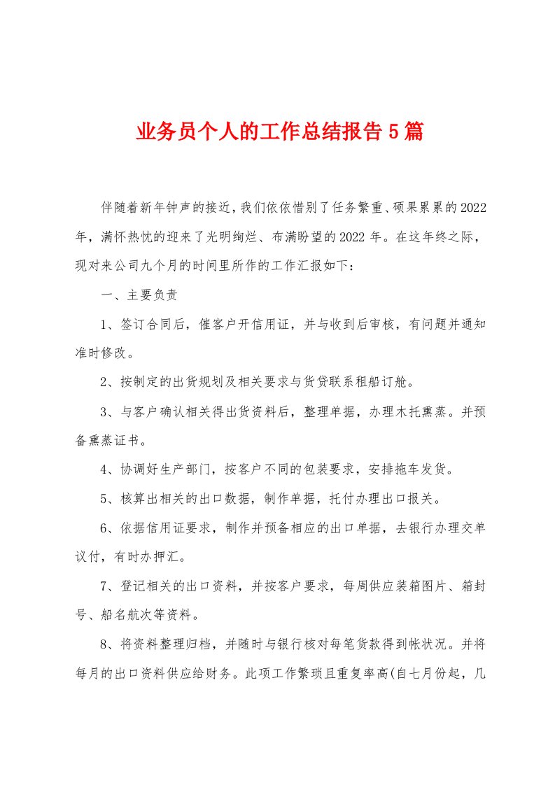 业务员个人的工作总结报告5篇