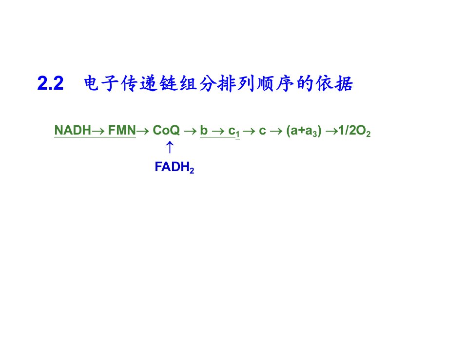 5生物氧化-2课件