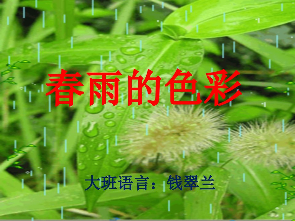 大班语言活动春雨的色彩(PPT课件)