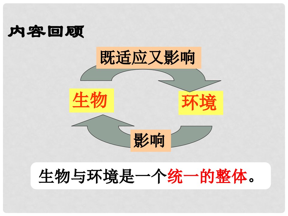 七年级生物上册