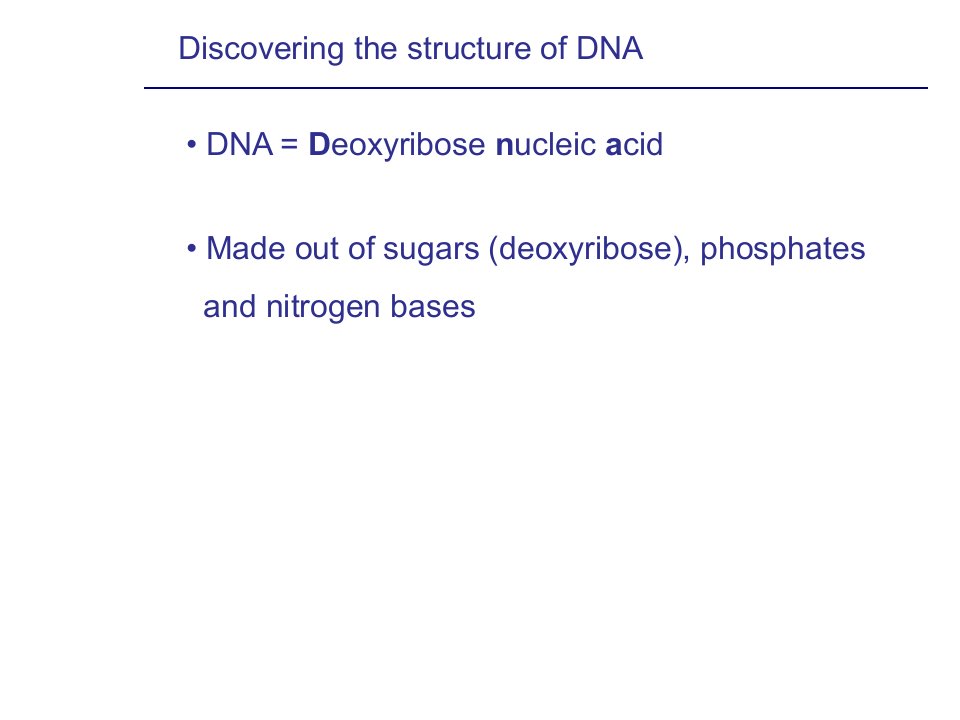 DNA+strucutre+and+replication