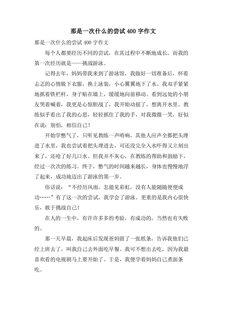 那是一次什么的尝试400字作文