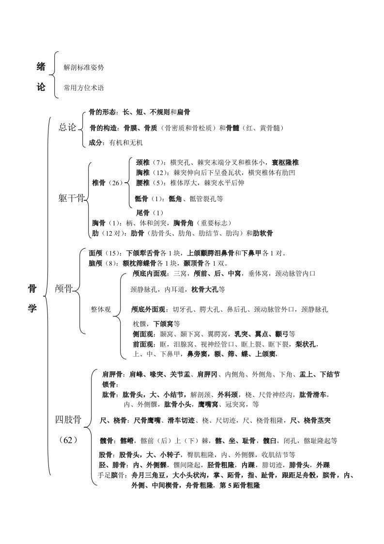 解剖学各系统总结