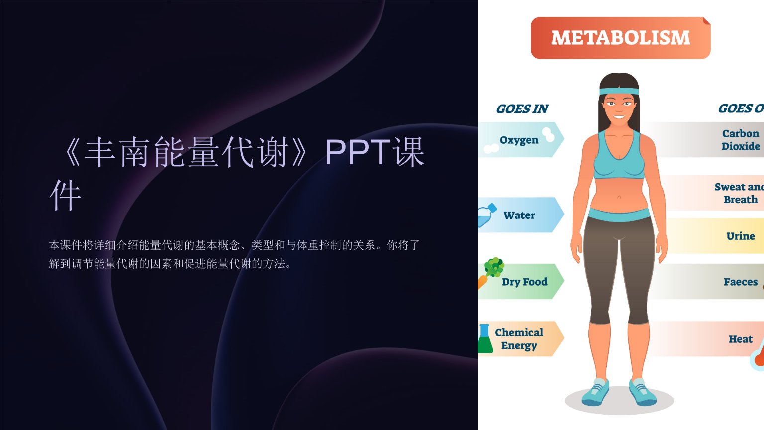 《丰南能量代谢》课件