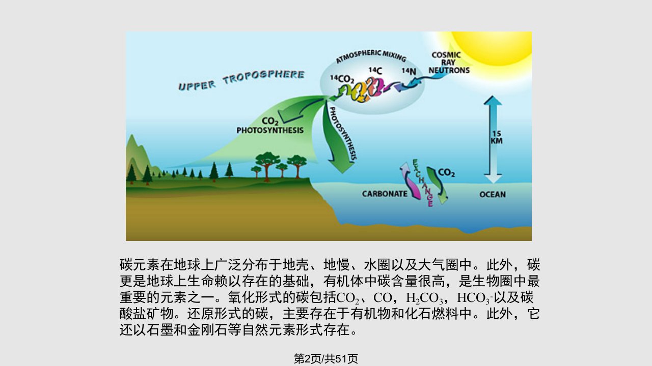 碳同位素解析