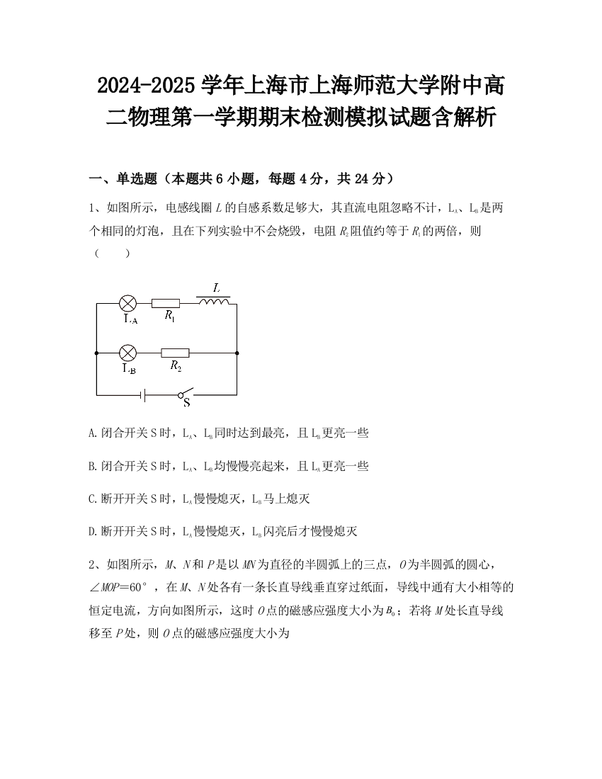 2024-2025学年上海市上海师范大学附中高二物理第一学期期末检测模拟试题含解析