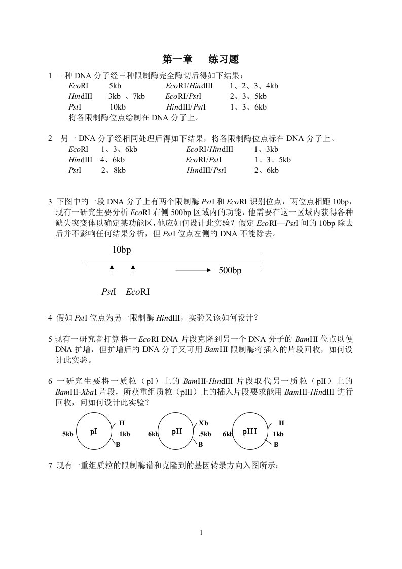 分子生物学练习题