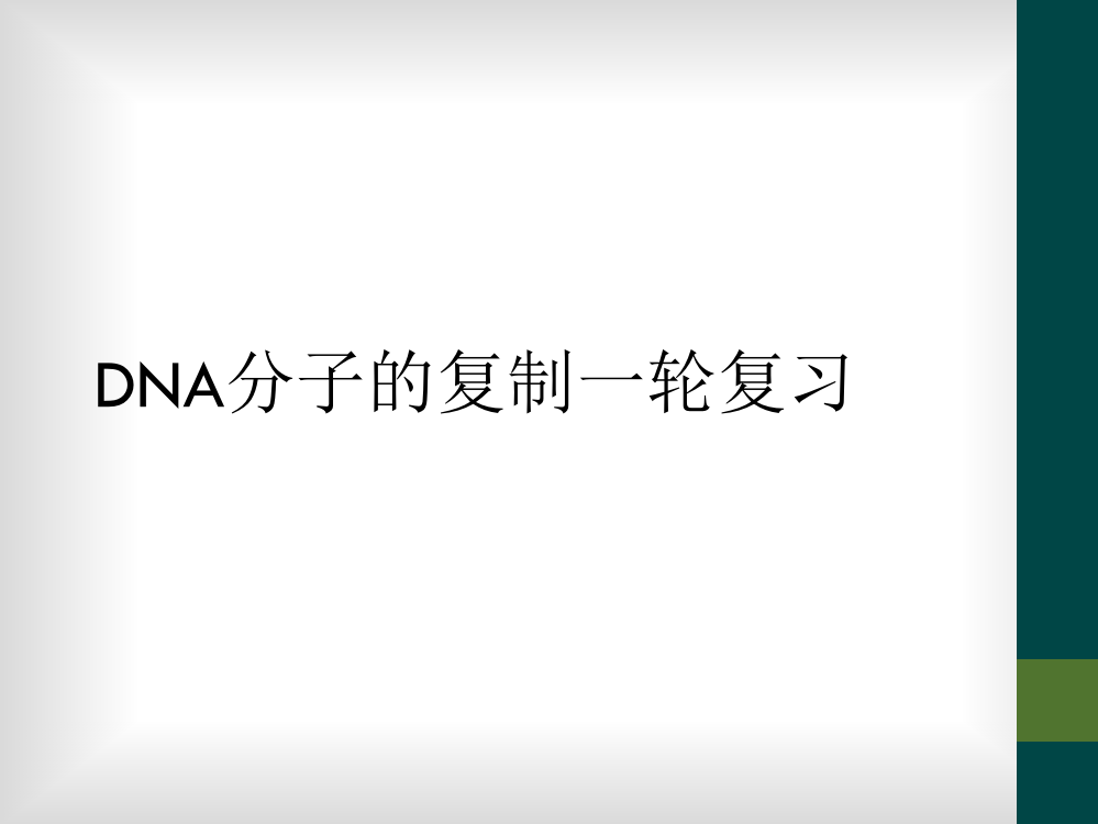 DNA分子的复制一轮复习