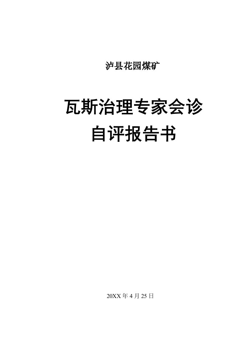 冶金行业-花园煤矿瓦斯治理专家会诊自评报告书