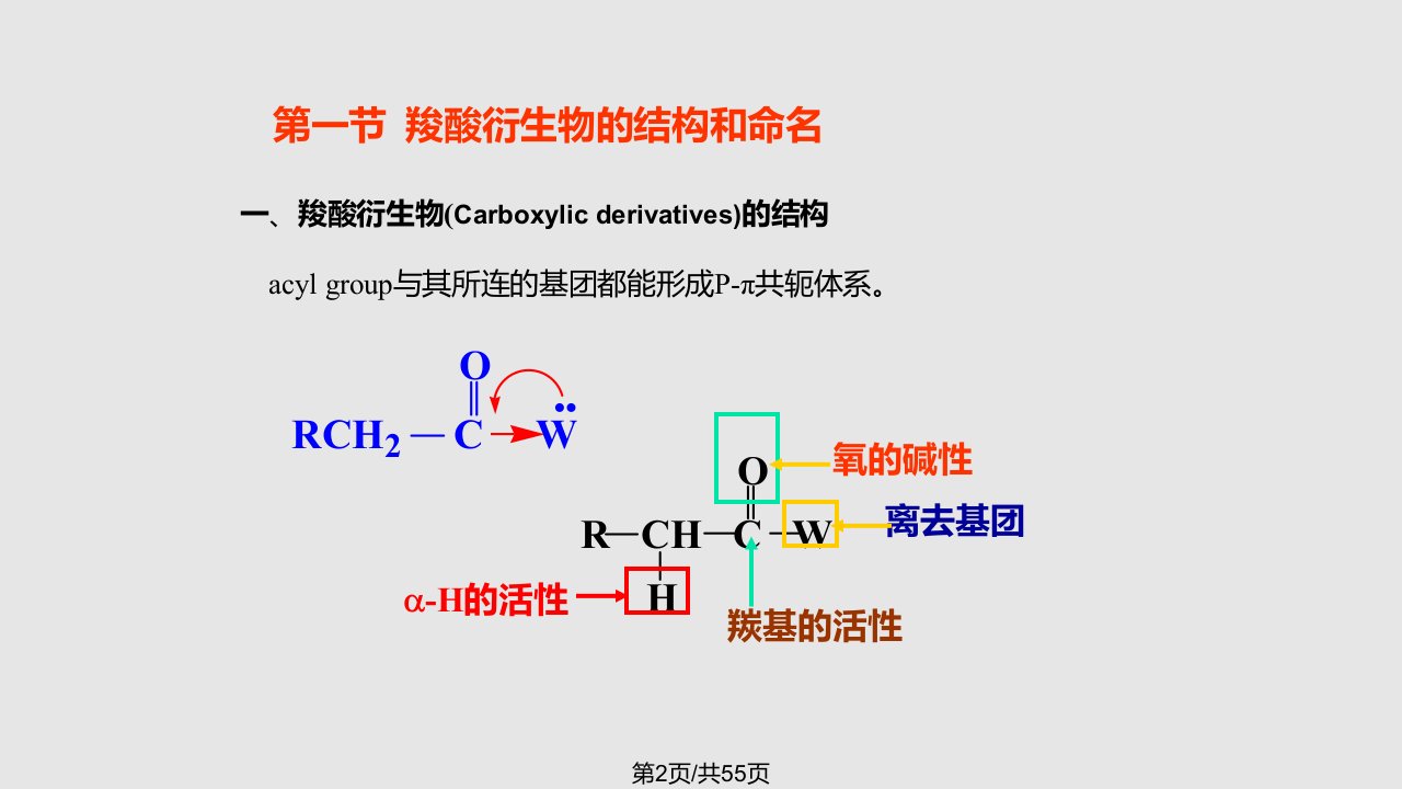 有机讲义十三