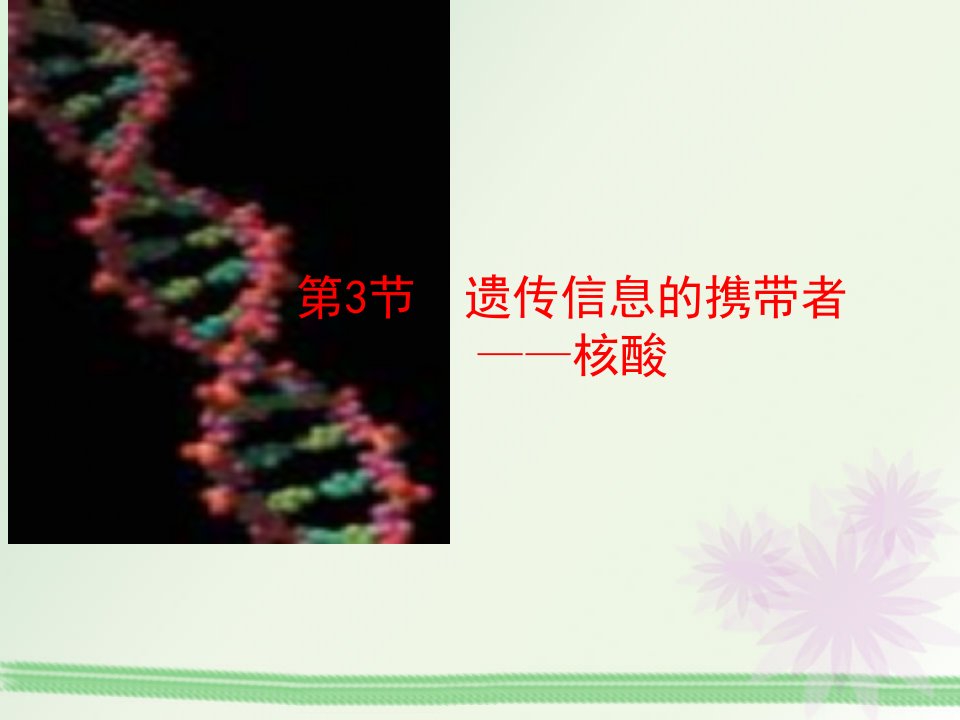 遗传信息的携带者核酸课件(人教版必修I)