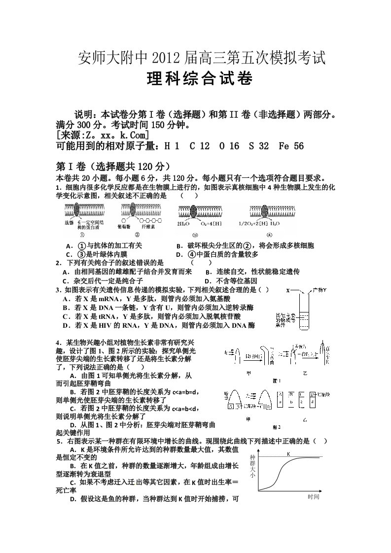 安徽省师大附中2012届高三第五次模拟考试理科综合试题