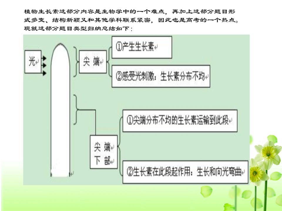 植物生长素相关习题