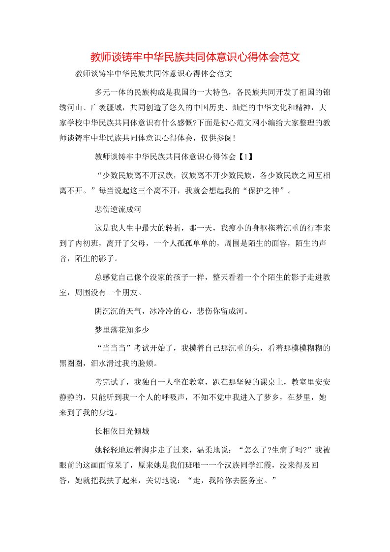 教师谈铸牢中华民族共同体意识心得体会范文