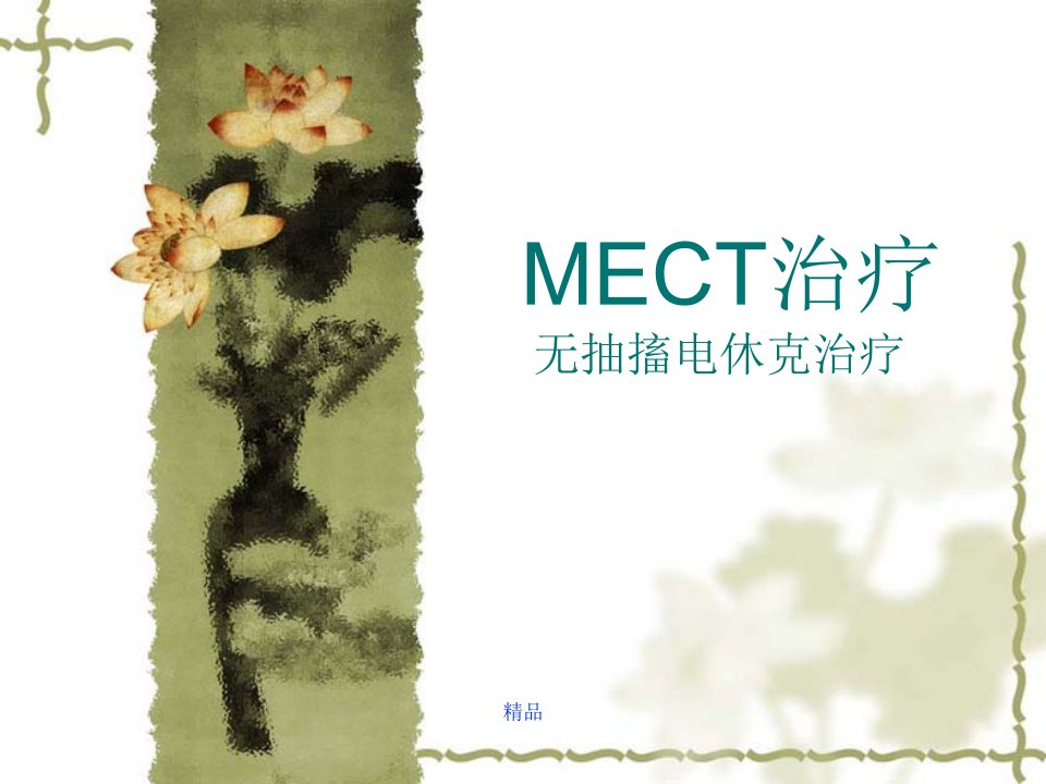 MECT治疗