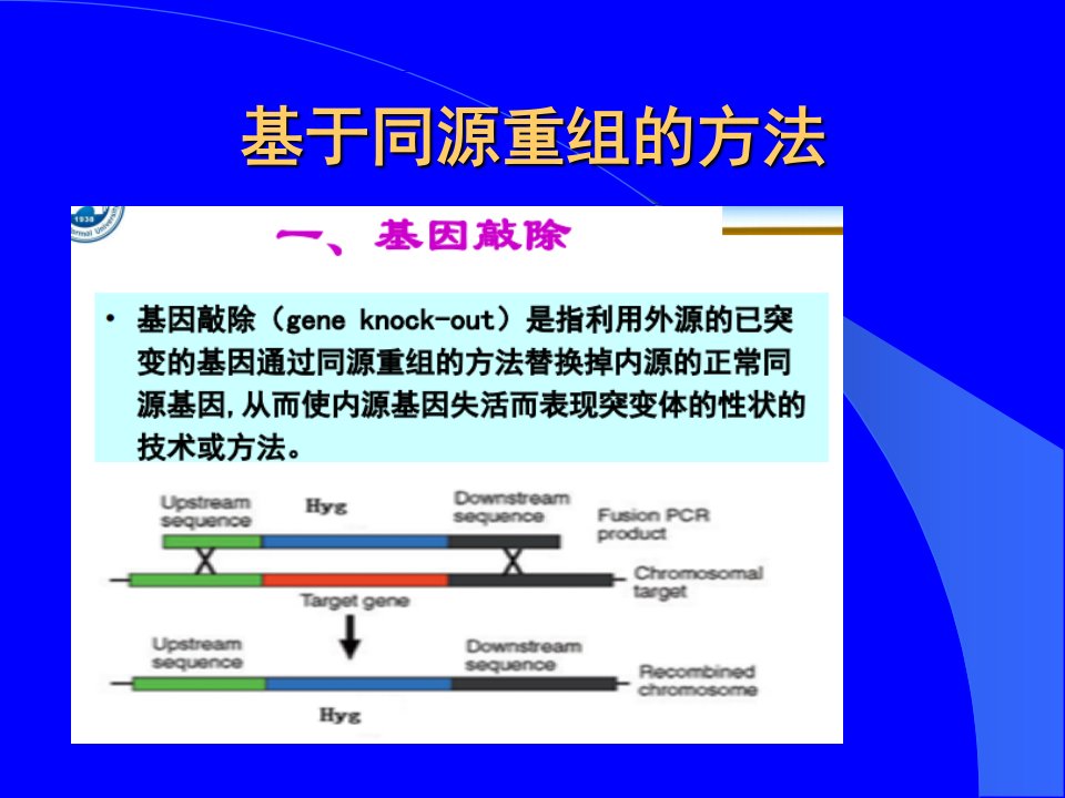 目的基因的功能验证