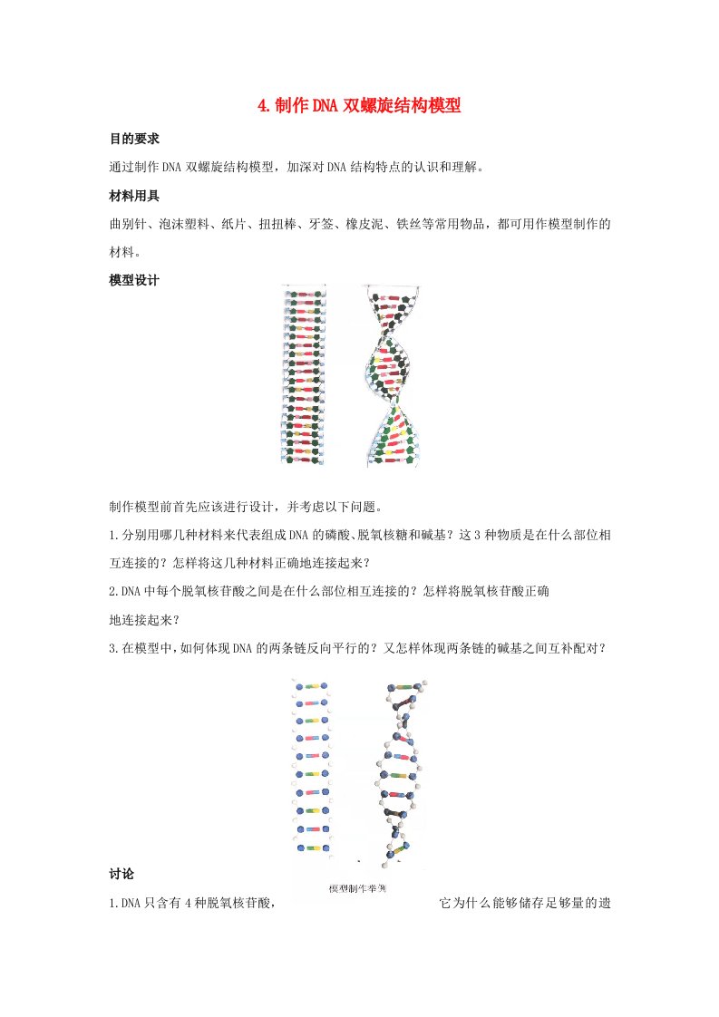 2023届高考生物考前梳理必修2遗传与进化实验4.制作DNA双螺旋结构模型