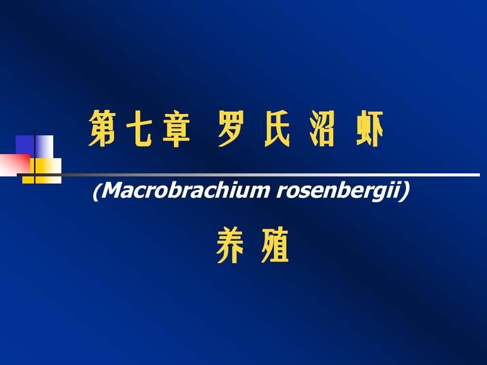 水产养殖8罗氏沼虾