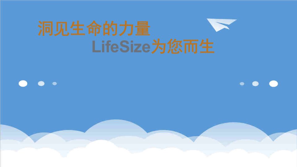 会议管理-LifeSize视频会议整体方案