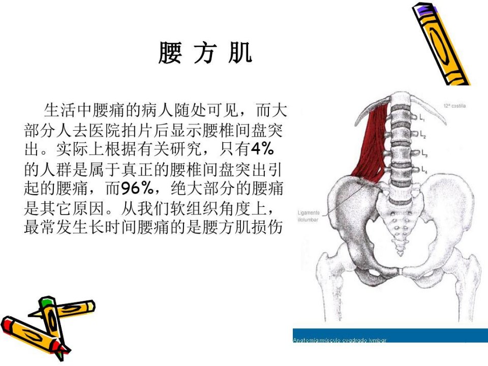 处理腰方肌受损知识讲解