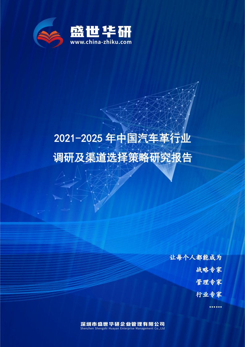 2021-2025年中国汽车革行业调研及渠道选择策略研究报告