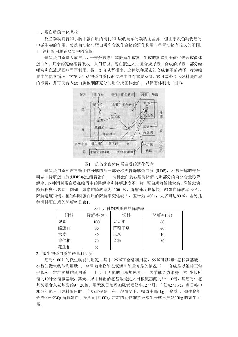 反刍动物的消化吸收特点