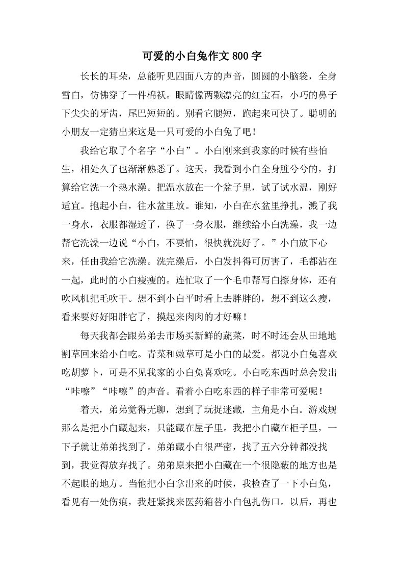 可爱的小白兔作文800字