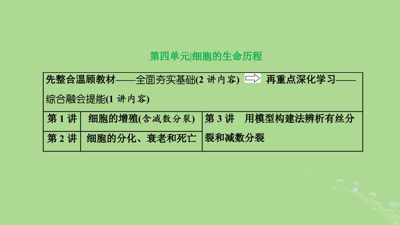 新课标2023版高考生物一轮总复习第四单元细胞的生命历程第1讲细胞的增殖含减数分裂课件