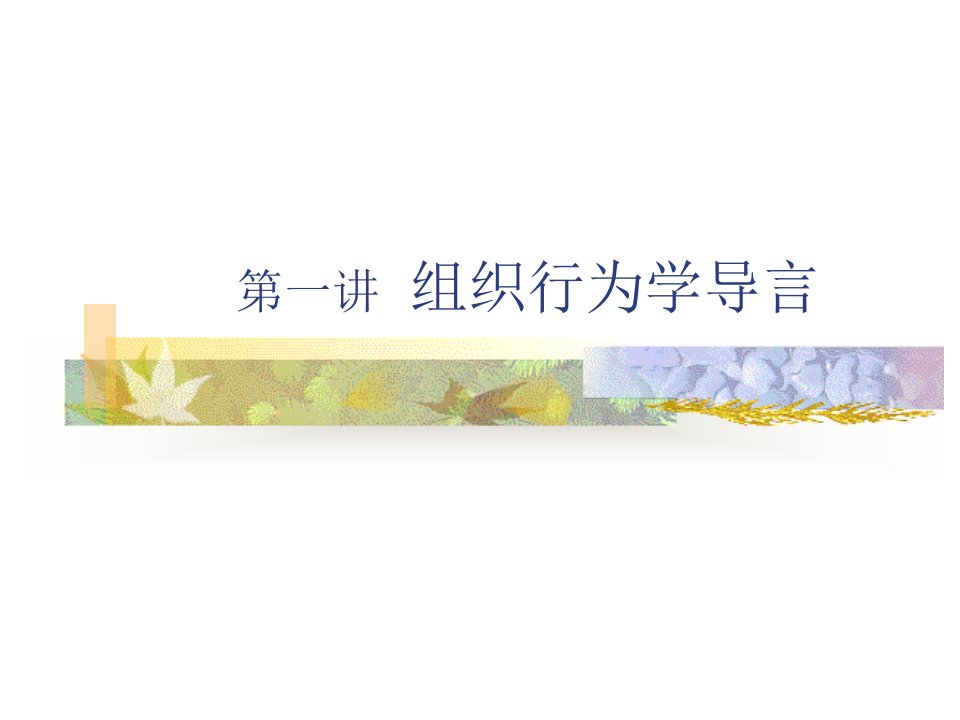 01组织行为学导言