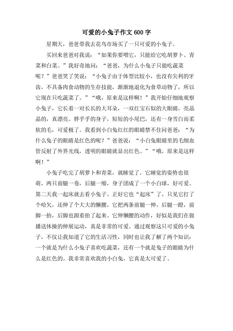 可爱的小兔子作文600字