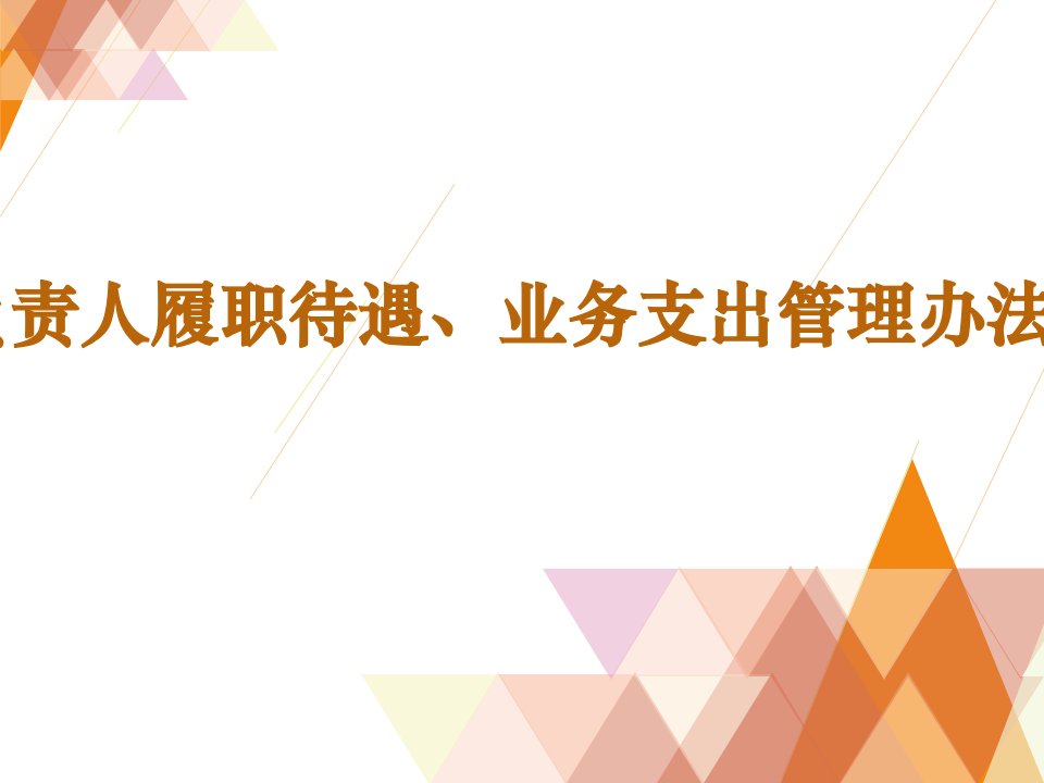 负责人履职待遇、业务支出管理办法幻灯片