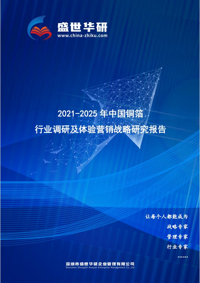 2021-2025年中国铜箔行业调研及体验营销战略研究报告