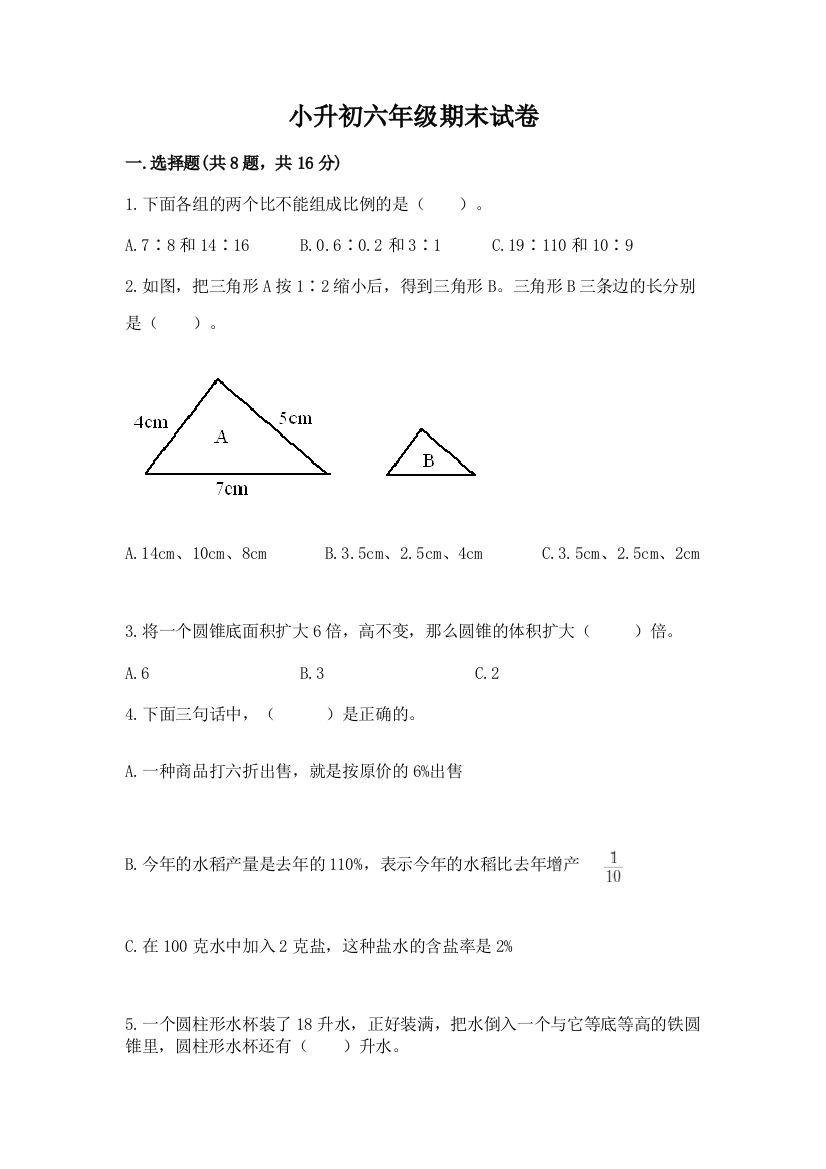 小升初六年级期末试卷（考点精练）