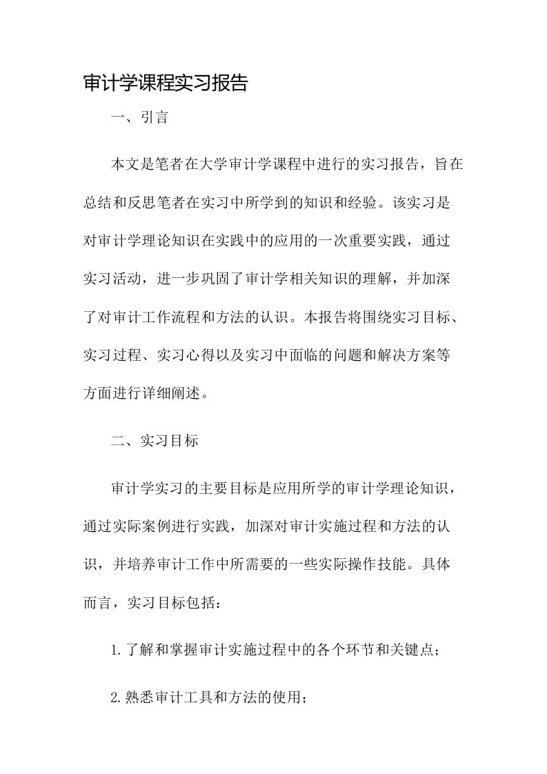 审计学课程实习报告