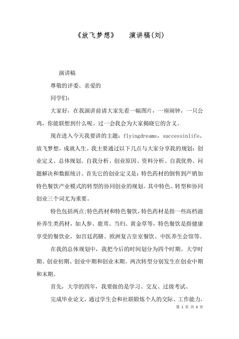 《放飞梦想》