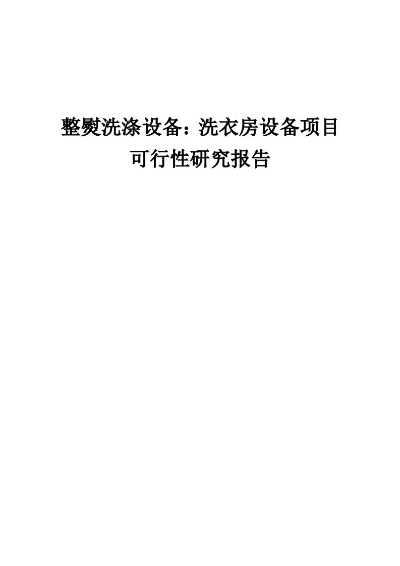 2024年整熨洗涤设备：洗衣房设备项目可行性研究报告