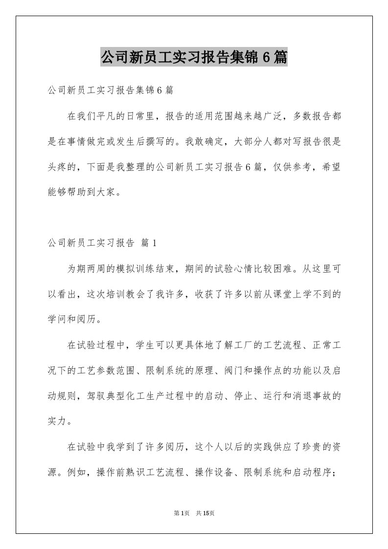 公司新员工实习报告集锦6篇