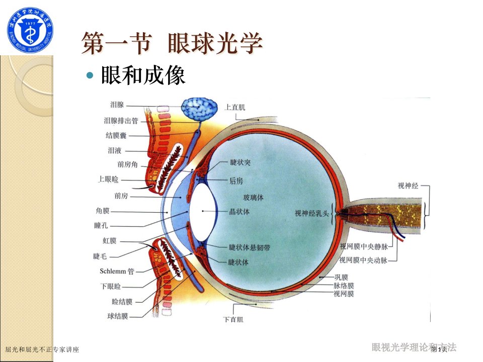屈光和屈光不正课件PPT