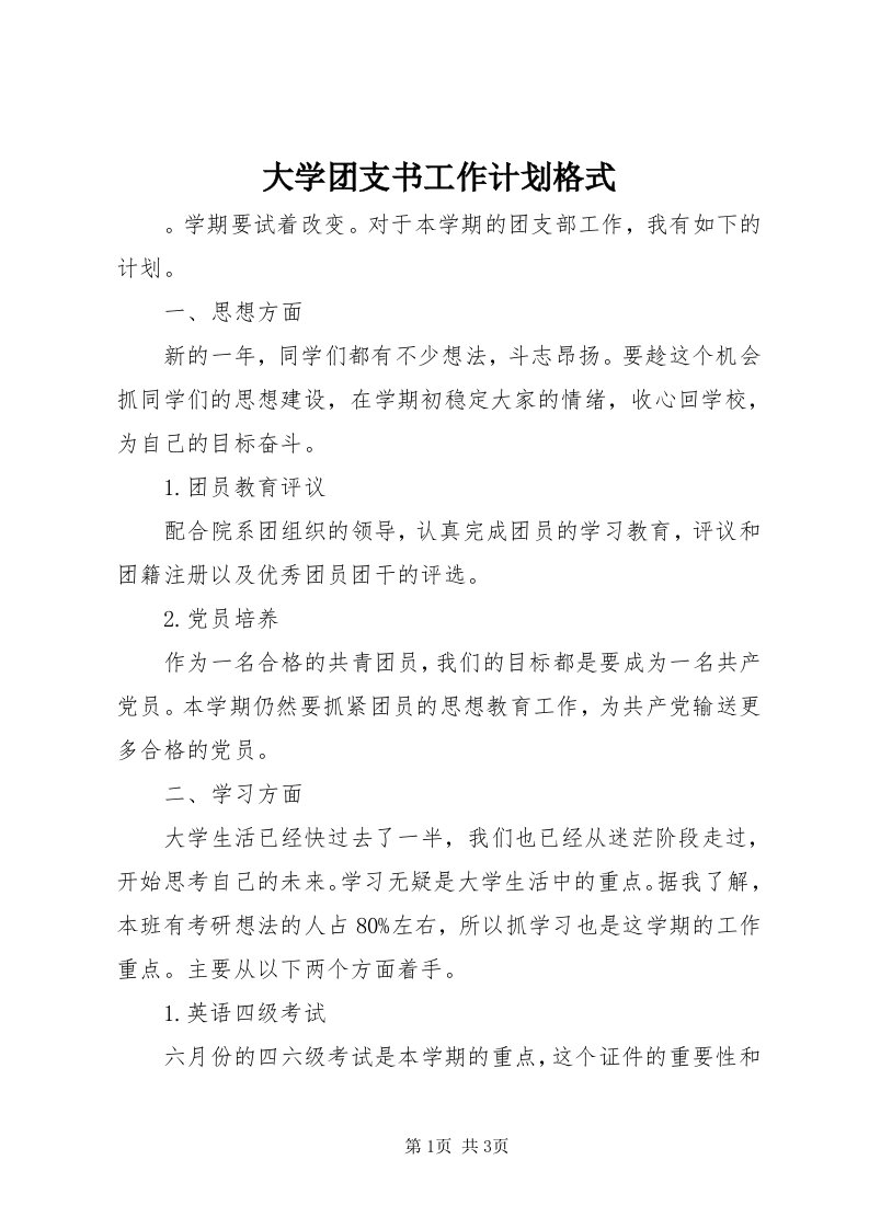 大学团支书工作计划格式