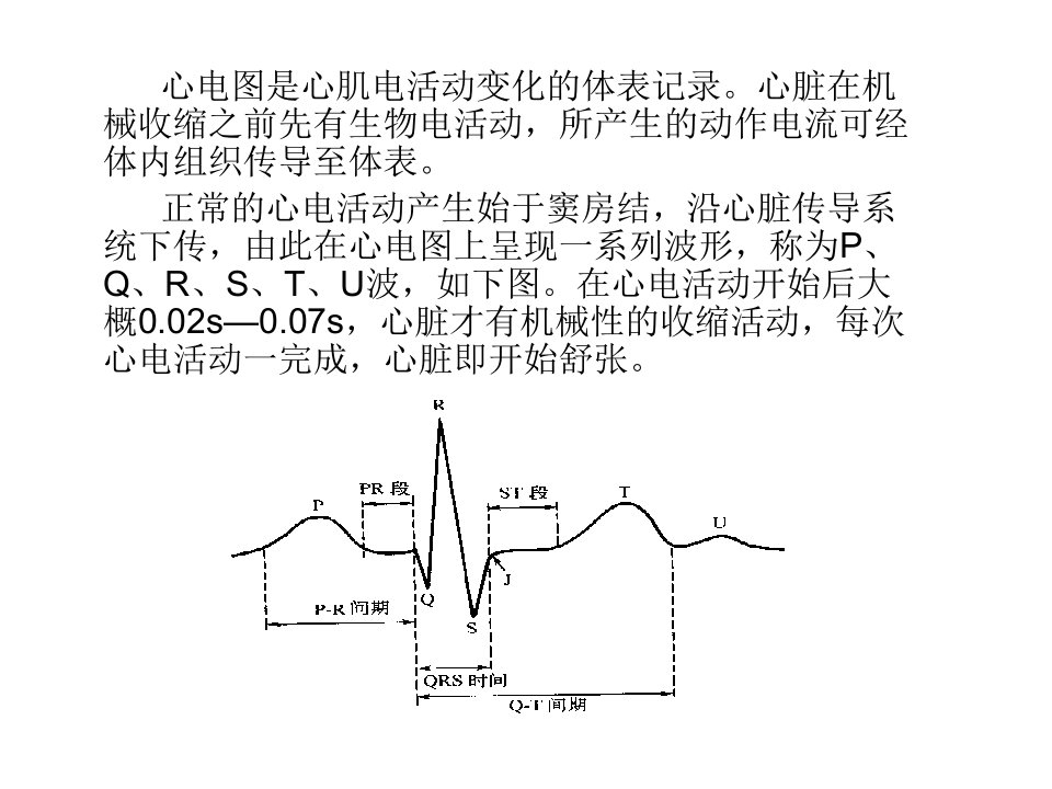 心电信息PPT课件