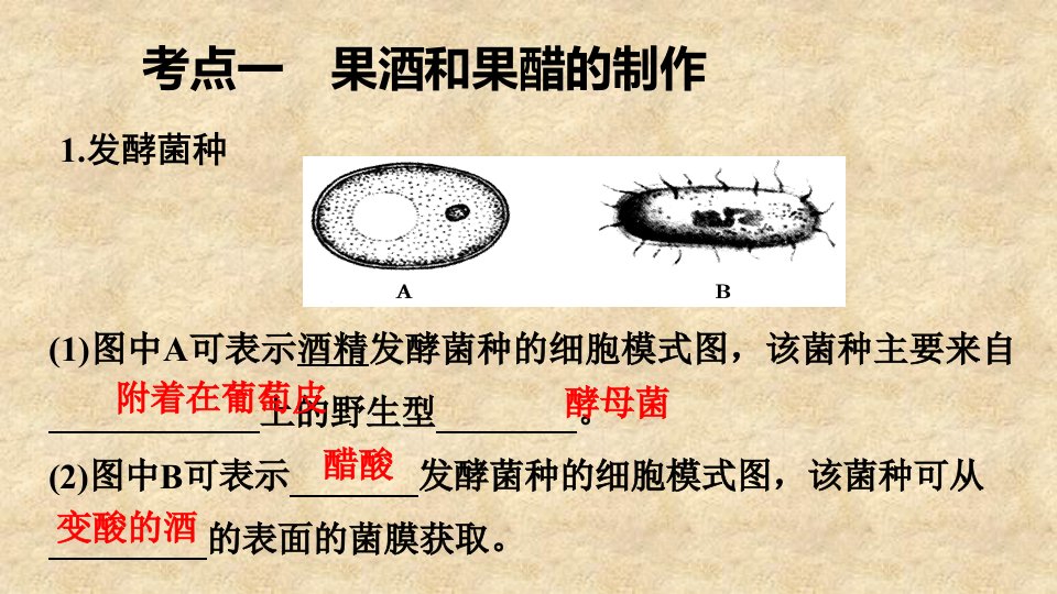 高三生物一轮复习传统发酵技术的应用