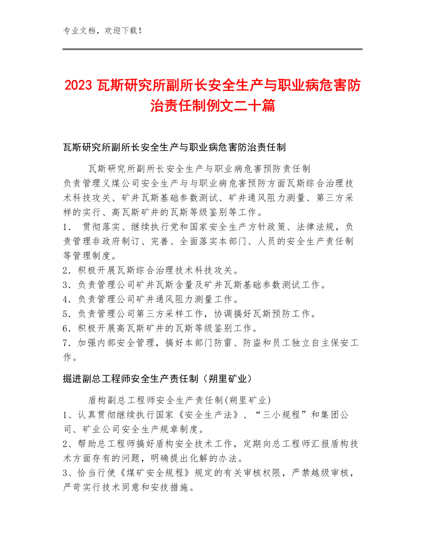 2023瓦斯研究所副所长安全生产与职业病危害防治责任制例文二十篇